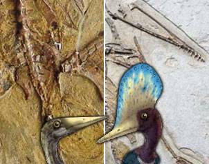 aves jurasicas