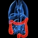 Así lo platicamos con el Huehuetl Cáncer colono rectal