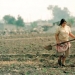 Piden a candidatos solución a problema del agro