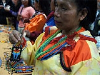 Quinto aniversario de la Declaración de la ONU sobre los derechos de los pueblos indígenas