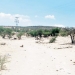 Temperatura podría subir hasta 42 grados en Coahuila y Durango