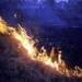 Incendios forestales alcanzan sitios del patrimonio universal