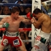 El 'Canelo' Álvarez noquea a Josesito en el quinto round