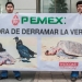 GREENPEACE....cuestiona a PEMEX GREENPEACE....cuestiona a PEMEX