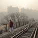 Pekín...niebla tóxica ahoga a la población Pekín...niebla tóxica ahoga a la población