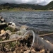 ' Un salto de vida '...reflexión sobre la crisis ambiental ' Un salto de vida '...reflexión sobre la crisis ambiental