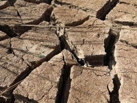 ONU...llamó a evitar y revertir la degradación del suelo ONU...llamó a evitar y revertir la degradación del suelo