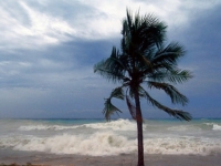 Florida...sufre la furia del poderoso y destructivo huracán Irma Florida...sufre la furia del poderoso y destructivo huracán Irma