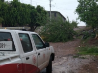 Reportan afectaciones en Huajuapan por lluvias y rachas de viento Reportan afectaciones en Huajuapan por lluvias y rachas de viento