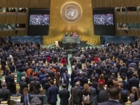 Fracasa acuerdo global para reducir deforestación Fracasa acuerdo global para reducir deforestación