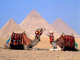 SRE..recomendó reconsiderar o posponer planes de viaje a Egipto