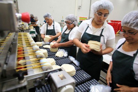 OCDE... México, segundo en empleados que laboran 50 horas o más