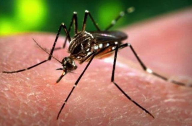 Laos...inició Cumbre Asiática centrada en la amenaza del Zika