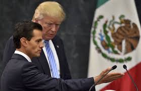 DIARIO EJECUTIVO