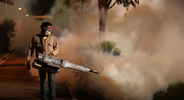 Concentran cinco estados 79 por ciento de casos de dengue en el país