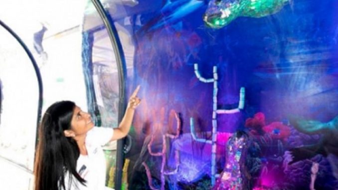 ACUARIO MATERIAL RECICLADO