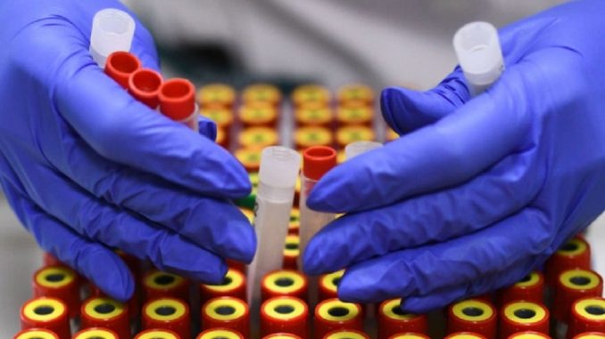 SIN CASOS DE CORONAVIRUS MÉXICO
