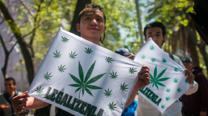 marihuana (1)