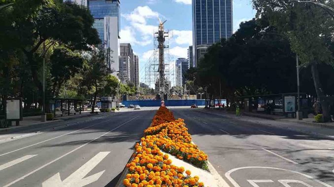 paseo-de-la-reforma-flor-angel-archivo